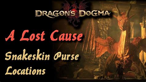 dragon's dogma snakeskin purse|snakeskin purse ddda.